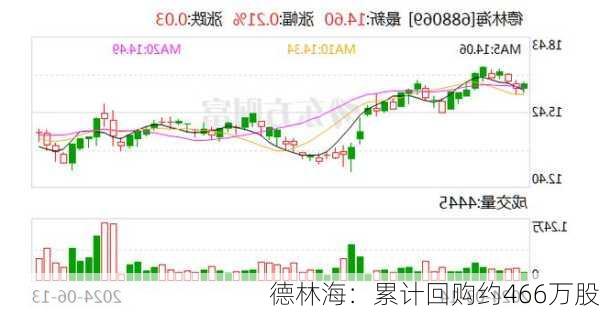 德林海：累计回购约466万股