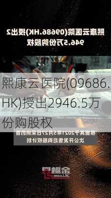 熙康云医院(09686.HK)授出2946.5万份购股权