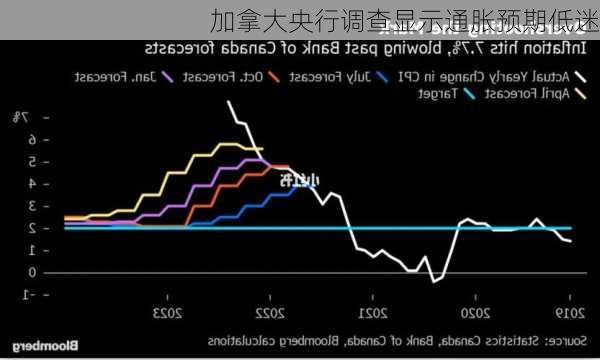 加拿大央行调查显示通胀预期低迷