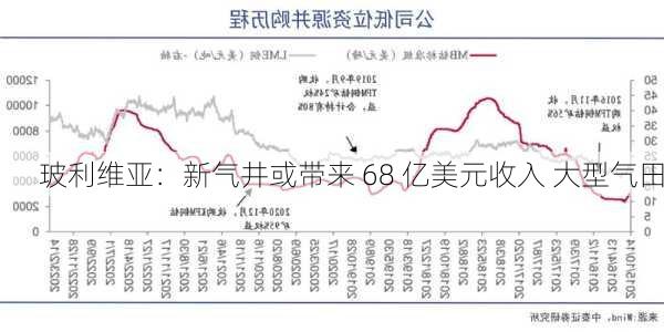 玻利维亚：新气井或带来 68 亿美元收入 大型气田