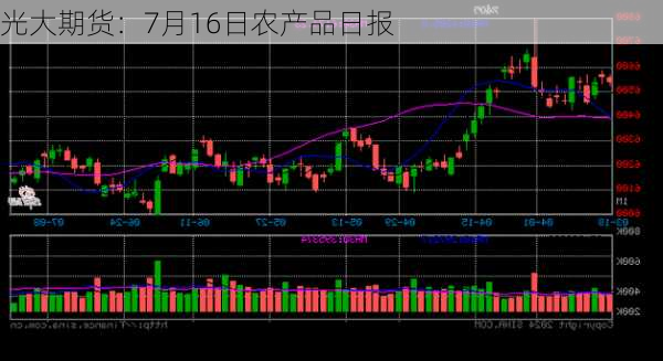 光大期货：7月16日农产品日报