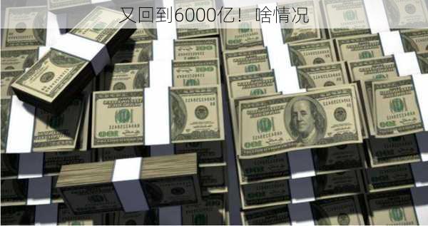 又回到6000亿！啥情况