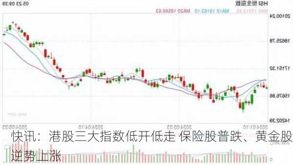 快讯：港股三大指数低开低走 保险股普跌、黄金股逆势上涨