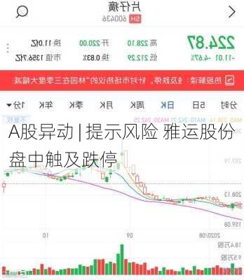 A股异动 | 提示风险 雅运股份盘中触及跌停