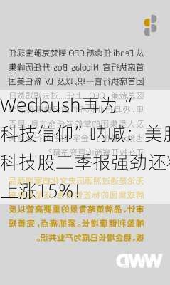 Wedbush再为“科技信仰”呐喊：美股科技股二季报强劲还将上涨15%！