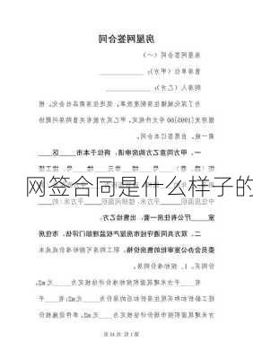 网签合同是什么样子的