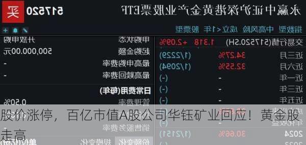 股价涨停，百亿市值A股公司华钰矿业回应！黄金股走高