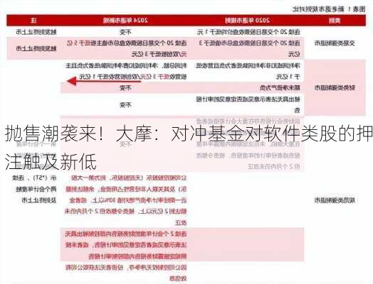 抛售潮袭来！大摩：对冲基金对软件类股的押注触及新低