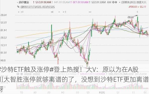 #沙特ETF触及涨停#登上热搜！大V：原以为在A股川大智胜涨停就够离谱的了，没想到沙特ETF更加离谱呀