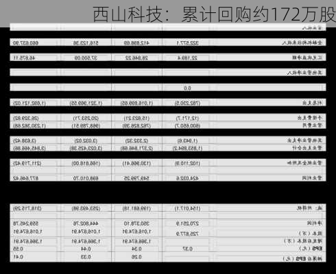 西山科技：累计回购约172万股