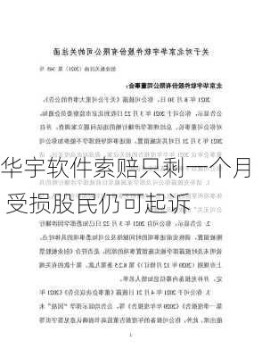 华宇软件索赔只剩一个月 受损股民仍可起诉