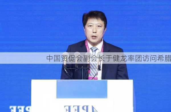 中国贸促会副会长于健龙率团访问希腊