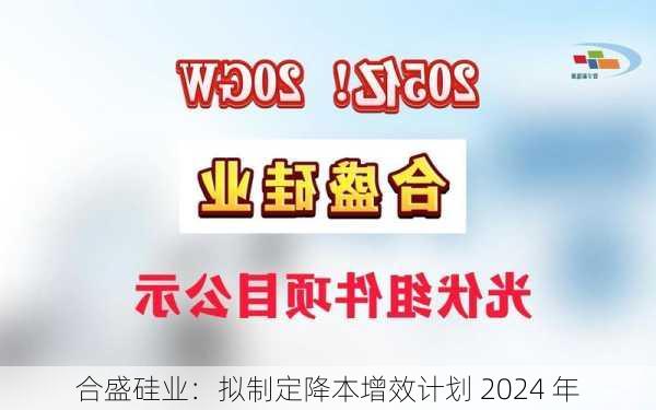 合盛硅业：拟制定降本增效计划 2024 年