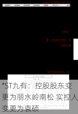 *ST九有：控股股东变更为丽水岭南松 实控人变更为袁硕