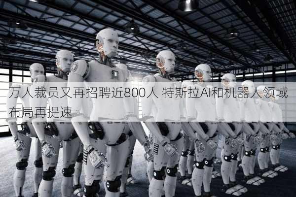 万人裁员又再招聘近800人 特斯拉AI和机器人领域布局再提速