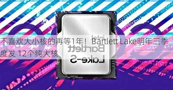 不喜欢大小核的再等1年！Bartlett Lake明年三季度发 12个纯大核