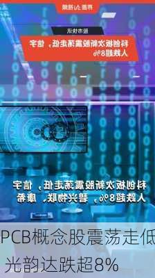 PCB概念股震荡走低 光韵达跌超8%