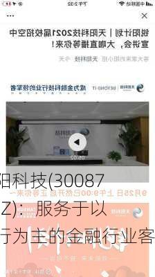 天阳科技(300872.SZ)：服务于以银行为主的金融行业客户