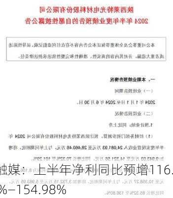 中触媒：上半年净利同比预增116.73%―154.98%