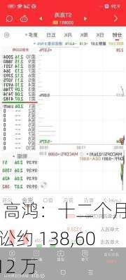 ST 高鸿：十二个月诉讼约 138,600.12 万