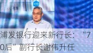 浦发银行迎来新行长：“70后”副行长谢伟升任