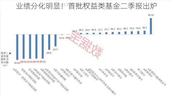 业绩分化明显！首批权益类基金二季报出炉