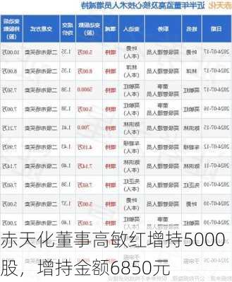 赤天化董事高敏红增持5000股，增持金额6850元