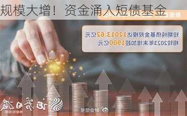 规模大增！资金涌入短债基金