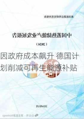 因政府成本飙升 德国计划削减可再生能源补贴