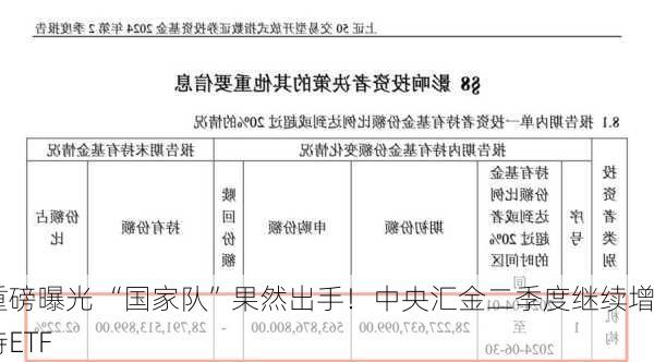 重磅曝光 “国家队”果然出手！中央汇金二季度继续增持ETF