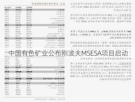 中国有色矿业公布刚波夫MSESA项目启动