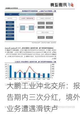 大鹏工业冲北交所：报告期内三次分红，境外业务遭遇滑铁卢