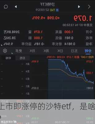 上市即涨停的沙特etf，是啥？