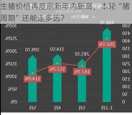 生猪价格再度刷新年内新高，本轮“猪周期”还能走多远？