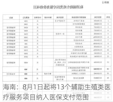 海南：8月1日起将13个辅助生殖类医疗服务项目纳入医保支付范围