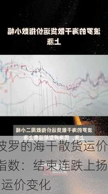 波罗的海干散货运价指数：结束连跌上扬  运价变化