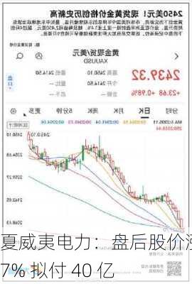 夏威夷电力：盘后股价涨 27% 拟付 40 亿