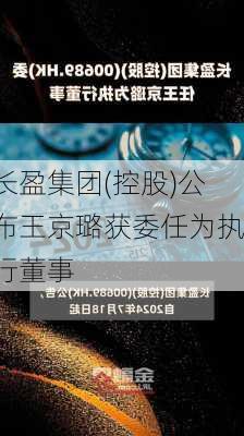 长盈集团(控股)公布王京璐获委任为执行董事