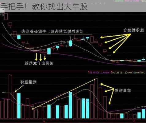 手把手！教你找出大牛股