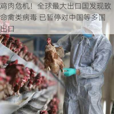 鸡肉危机！全球最大出口国发现致命禽类病毒 已暂停对中国等多国出口