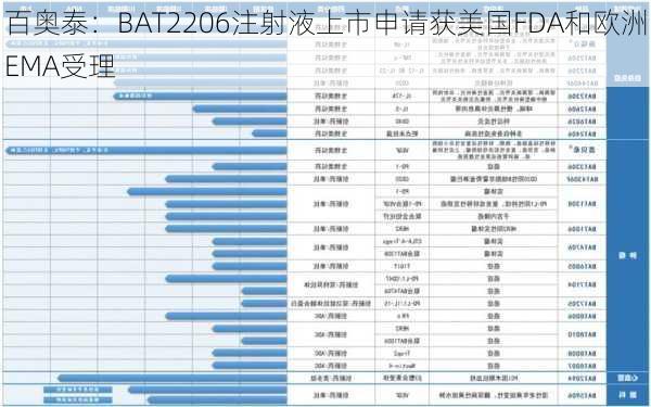 百奥泰：BAT2206注射液上市申请获美国FDA和欧洲EMA受理