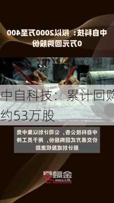 中自科技：累计回购约53万股