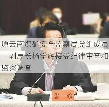 原云南煤矿安全监察局党组成员、副局长杨学辉接受纪律审查和监察调查