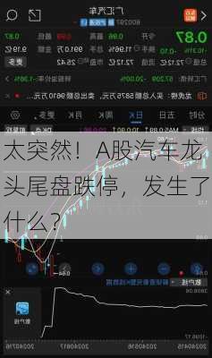 太突然！A股汽车龙头尾盘跌停，发生了什么？