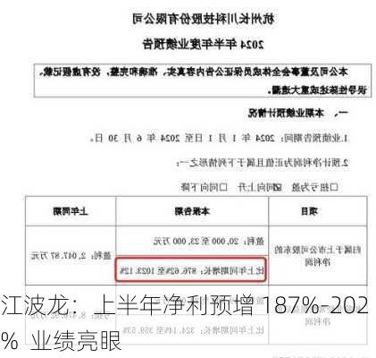 江波龙：上半年净利预增 187%-202%  业绩亮眼