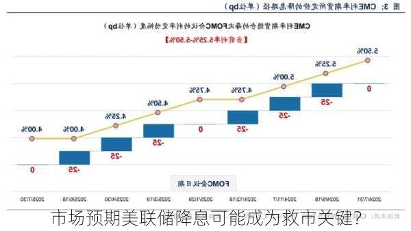 市场预期美联储降息可能成为救市关键？