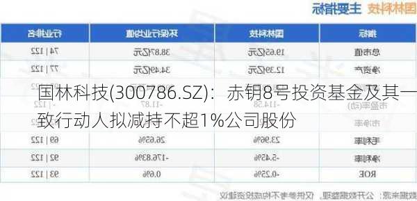 国林科技(300786.SZ)：赤钥8号投资基金及其一致行动人拟减持不超1%公司股份