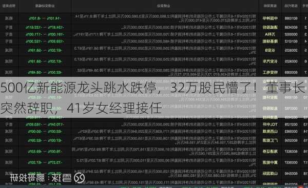 500亿新能源龙头跳水跌停，32万股民懵了！董事长突然辞职，41岁女经理接任