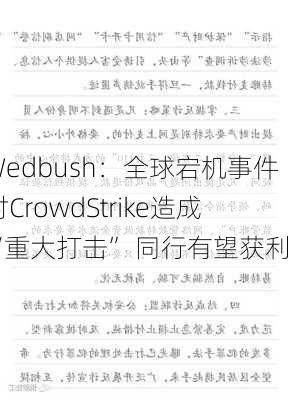 Wedbush：全球宕机事件对CrowdStrike造成“重大打击” 同行有望获利