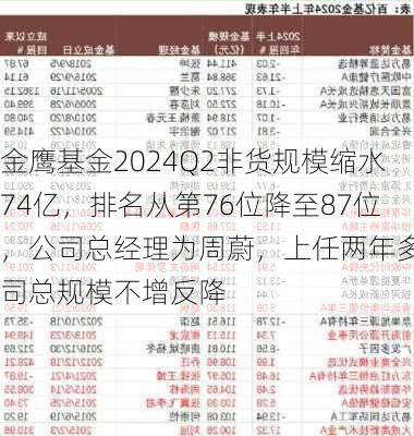 金鹰基金2024Q2非货规模缩水74亿，排名从第76位降至87位，公司总经理为周蔚，上任两年多公司总规模不增反降